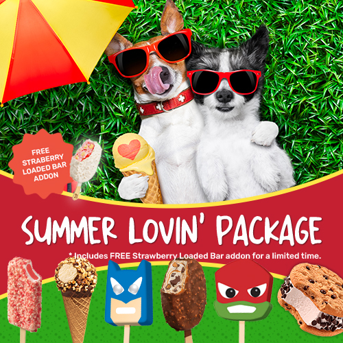 summer lovin’ package starting at 120 svgs